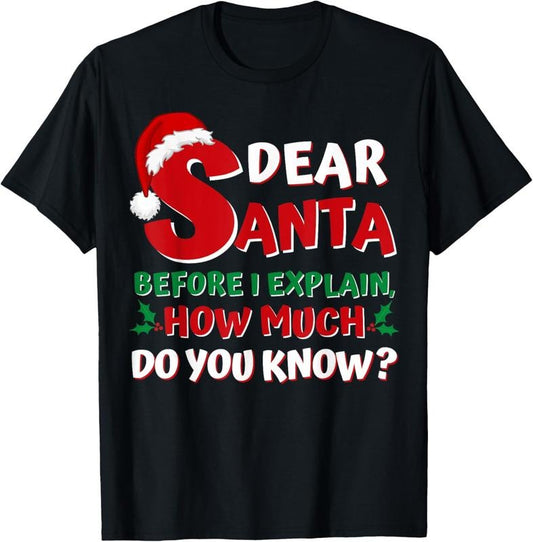 100% Cotton 2024 Funny Christmas Shirts Adults Santa I Can Explain T-Shirt