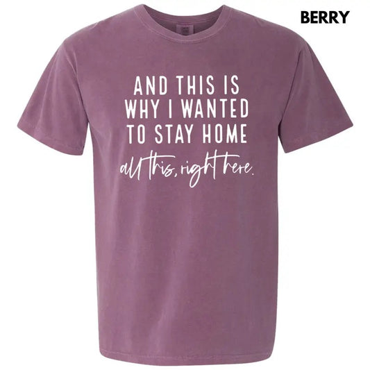 All This Right Here Comfort Colors T-Shirt