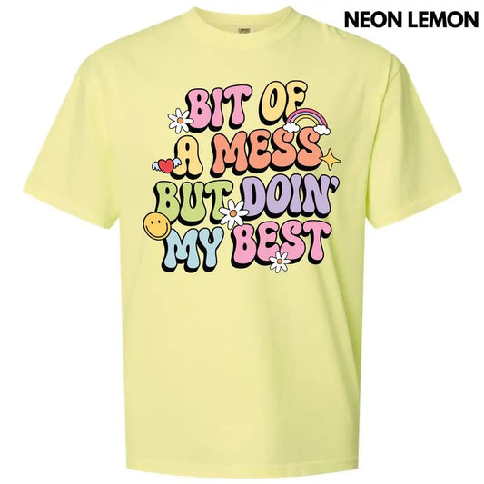 Bit Of A Mess Comfort Colors T-Shirt 'NLB'