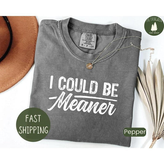 Comfort color I Could Be Meaner Tee - Spicy Attitude Shirt - Confident and Funny Apparel - Perfect Gift for Nice People - Trend Tee - Trend Gift - Parent