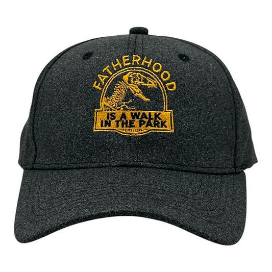 Fatherhood Is A Walk In The Park Hat Funny Sarcastic Fathers Day Dinosaur Graphic Cap Funny Hats Dad Joke  Funny Dinosaur  Novelty Caps for Men Black - Standard