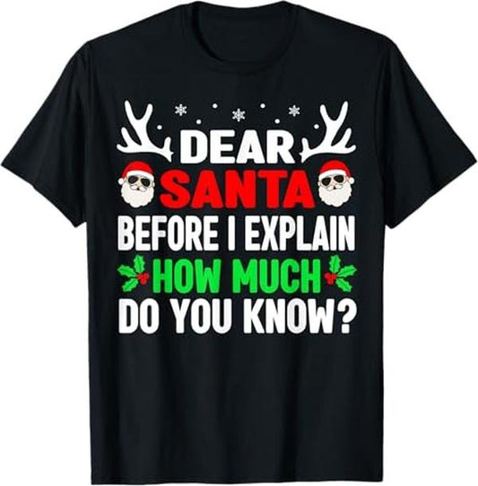 Funny Christmas Shirts, Funny Christmas Adults Dear Santa I Can Explain T-Shirt - Menswear Top