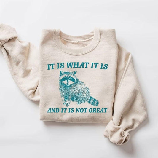 It Is What It Is And It Is Not Great Sweatshirt, Mental Health Sweatshirt, Funny Sweatshirt  sweater