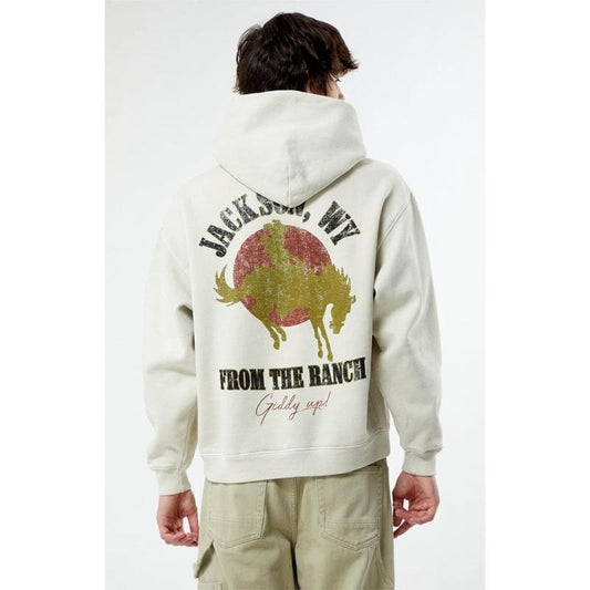 PacSun Men's Giddy Up Hoodie