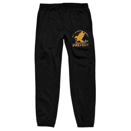 PacSun Men's Harry Potter Ravenclaw Sweatpants