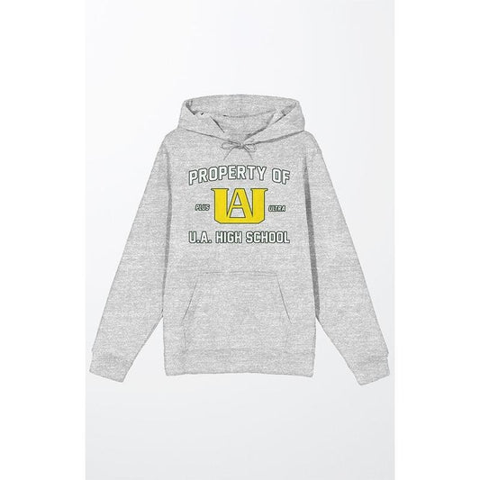 PacSun Men's My Hero Academia Property Hoodie