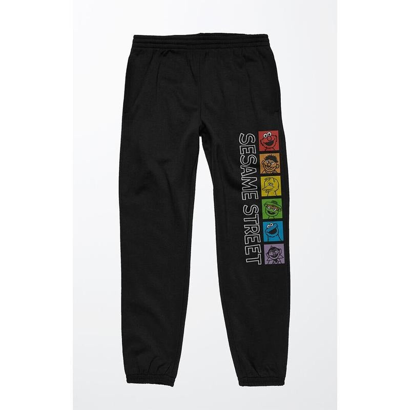 PacSun Men's Sesame Street Rainbow Character Sweatpants
