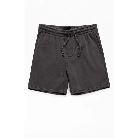 Pacsun Men's Charcoal Fleece Volley Shorts