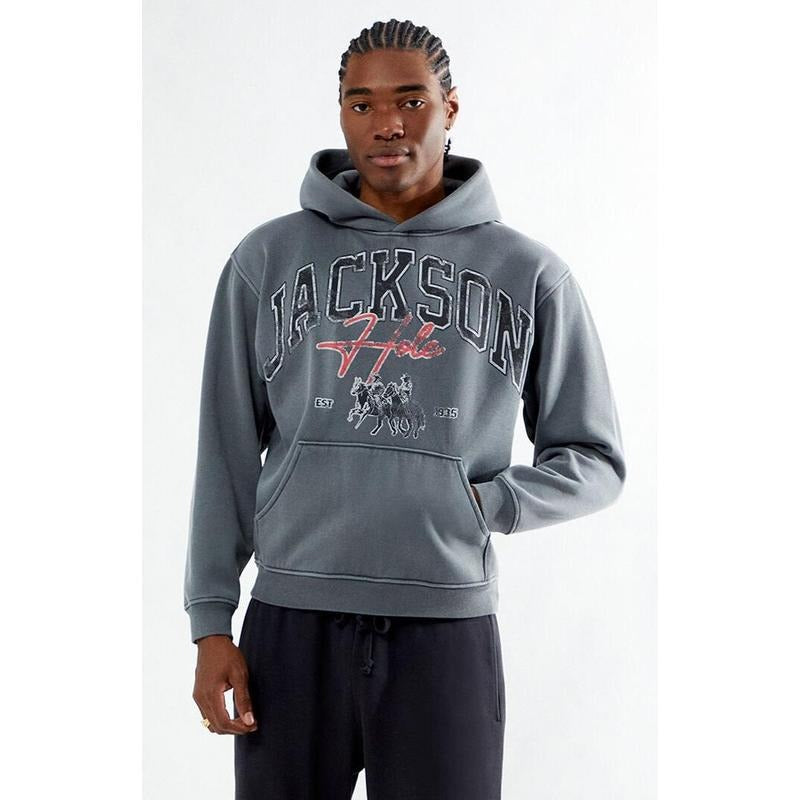 Pacsun Men's Jackson Hole Hoodie