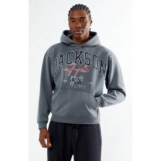 Pacsun Men's Jackson Hole Hoodie