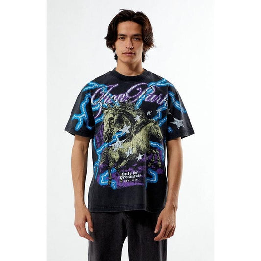 Pacsun Men's Zion Park Oversized T-Shirt