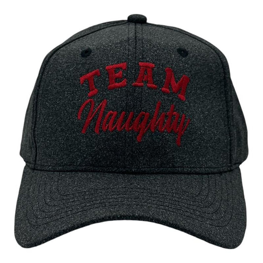 Team Naughty and Team Nice Hats Funny Sarcastic Christmas Novelty Caps Funny Hats Christmas  Funny Adult Humor  Novelty Caps for Men Standard
