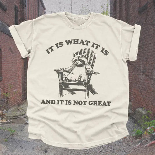 Vintage 90s Funny Racoon TShirt  Retro Y2K Humor Meme Shirt, Trendy Cute Boho Trashcore Tee, Raccoon Gifts, Trashy T-Shirt Menswear Top