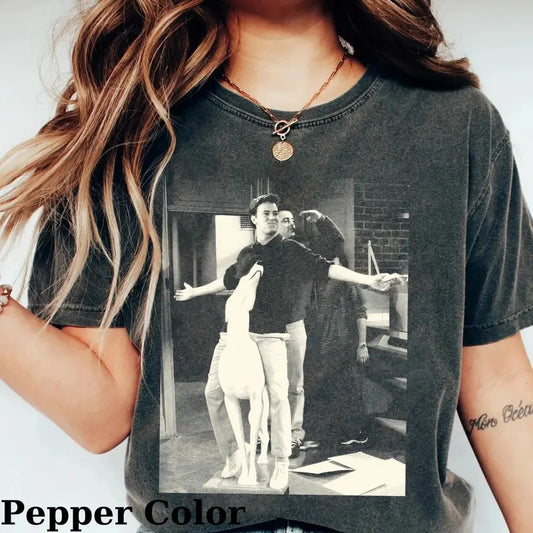 Vintage Chandler Bing and Joey Tribbiani Funny Graphic Tee - Friends Sitcom Shirt - Movie Shirt - Christmas Gift for Friends - Men's Top - Menswear Tshirt Streetwear