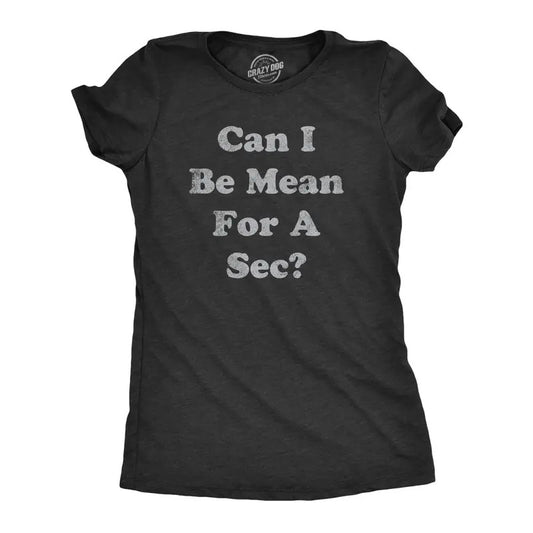 Womens Can I Be Mean For A Sec T Shirt Funny Rude Nasty Joke Tee For Ladies Funny Womens T Shirts Cute Slimming Top Comfortable Soft Womenswear Funny Sarcastic T Shirt Women's Novelty T Shirts Black -