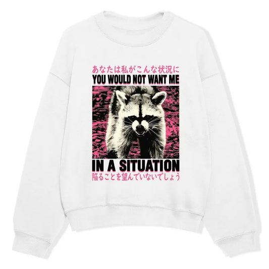 You Would Not Want Me In A Situation Raccoon Sweatshirt, Meme Raccoon Japanese Merch, Vintage 90s Unisex Comfort Colors Outfit, Gift For Animal Lovers