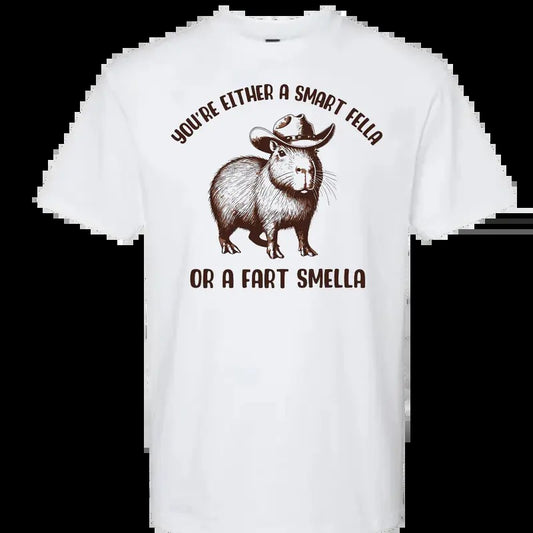 You're Either a Smart Fella or Fart Smella My T-Shirt